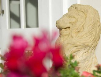 Lions1