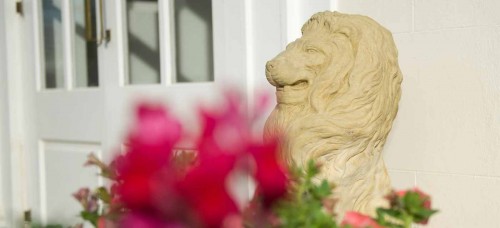 Lions1