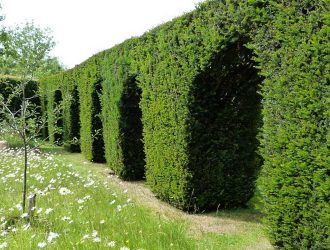 Dower-House-Gardens