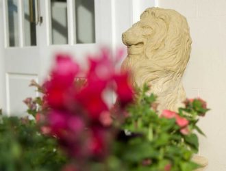 Lion-news Lion-news