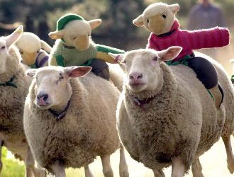 hoo-farm-animal-kingdom